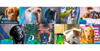 PuppComm – инновационное устройство для наблюдения за вашей собакой